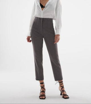 NWT Zara High Waisted Pleated Tapered Leg Cropped Dress Pants Gray Women's Small