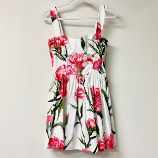 Dolce & Gabbana Floral-Printed Sleeveless Mini Dress White/Red Women's 40 / 4