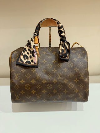 Louis Vuitton speedy 30 monogram top handle bag
