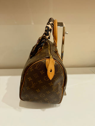 Louis Vuitton speedy 30 monogram top handle bag