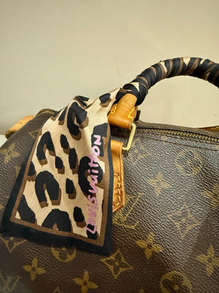 Louis Vuitton speedy 30 monogram top handle bag