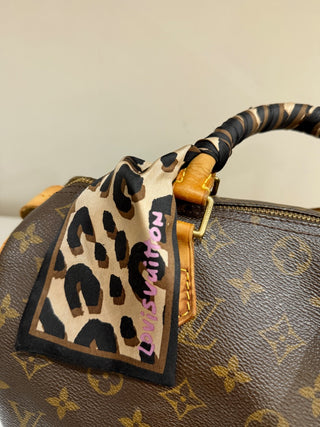 Louis Vuitton speedy 30 monogram top handle bag