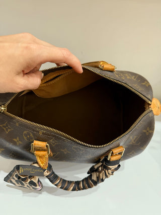 Louis Vuitton speedy 30 monogram top handle bag
