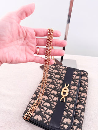 Christian Dior Trotter Oblique Canvas Chain Clutch Bag