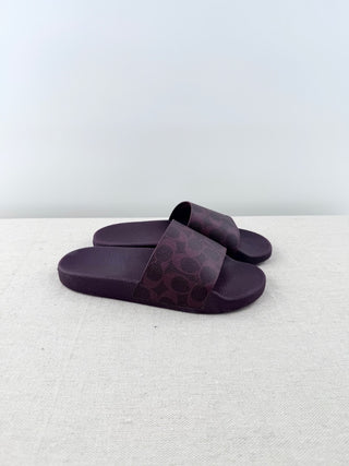 NWOT Coach Udele Logo Print Canvas Pool Slide Sandals Black Currant Women's 7