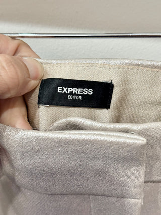 NWT Express Matching Set; Blazer & Pants Metallic Silver Top L / Bottoms US 12 R