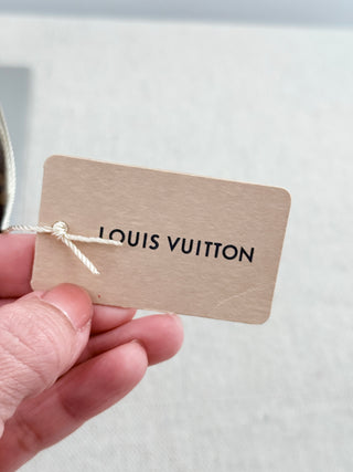 Louis Vuitton monogram looping bag nm