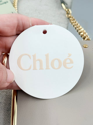 Chloe roy mini leather chain strap bag pouch