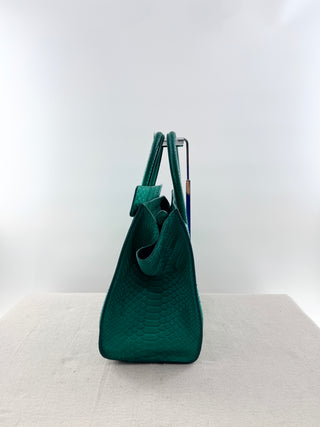 Celine python leather celine luggage tote bag