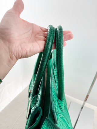 Celine python leather celine luggage tote bag