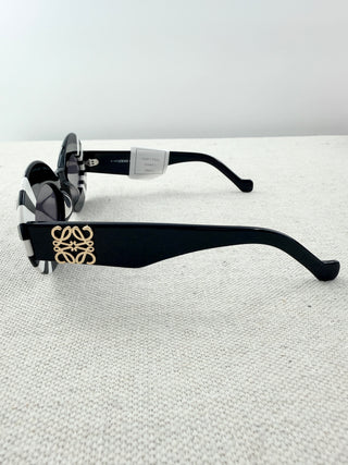 Loewe LW 40091 sunglasses