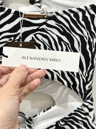 Alexandra Miro cut out anya swimsuit, XS