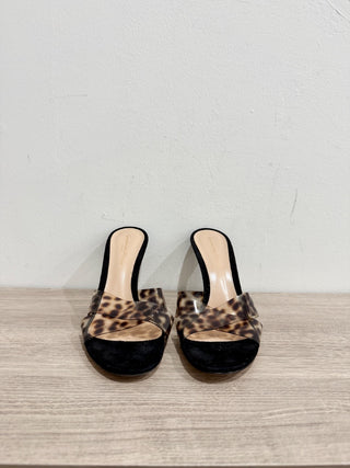 NWOT Gianvito Rossi Ilenia Crisscross Leopard PVC & Leather Mules Black EU 38.5