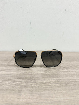 Jimmy Choo metal and leather carry s sunglasses