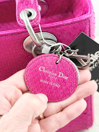 Dior python lady dior bag