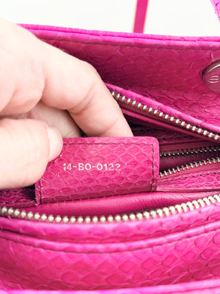 Dior python lady dior bag