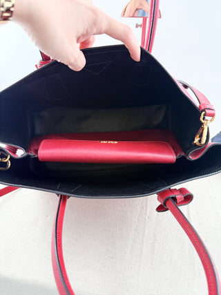 Dior python lady dior bag