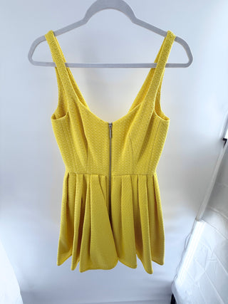 NWT Alexis Jody Sleeveless V-Neck Zip Up Mini Fit & Flare Dress Sol Womens Small