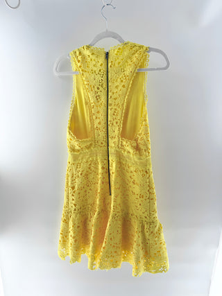 Alice & Olivia Lace mini dress with a deep v neck and flared skirt, 6
