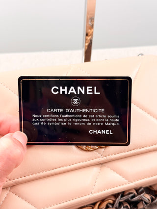 Chanel chanel 19 quilted leather WOC small bag