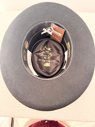 Stetson Black Fur Gambler Hat, 7
