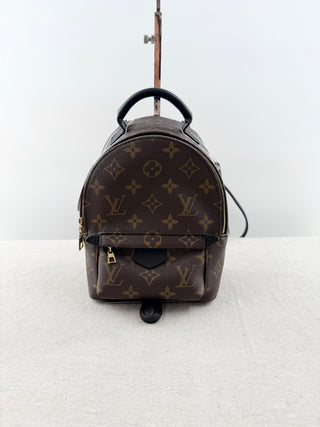 Louis Vuitton palm springs mini backpack in monogram