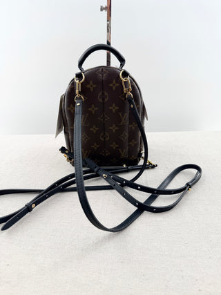 Louis Vuitton palm springs mini backpack in monogram