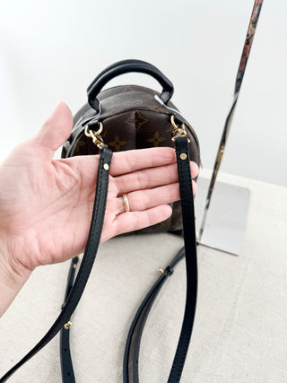 Louis Vuitton palm springs mini backpack in monogram
