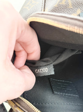 Louis Vuitton palm springs mini backpack in monogram