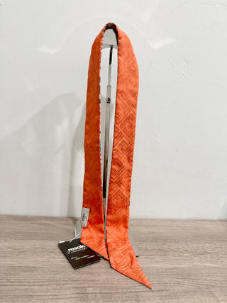 Fendi silk two sides twilly scarf