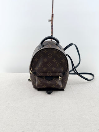 Louis Vuitton palm springs mini backpack in monogram