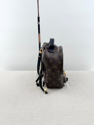 Louis Vuitton palm springs mini backpack in monogram