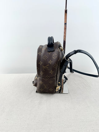 Louis Vuitton palm springs mini backpack in monogram
