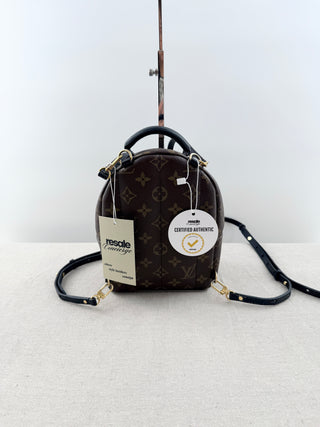 Louis Vuitton palm springs mini backpack in monogram