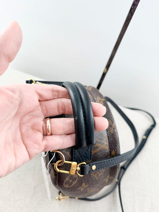 Louis Vuitton palm springs mini backpack in monogram