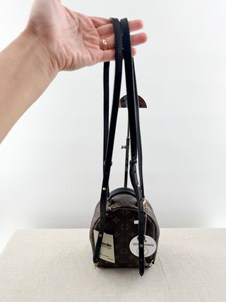 Louis Vuitton palm springs mini backpack in monogram