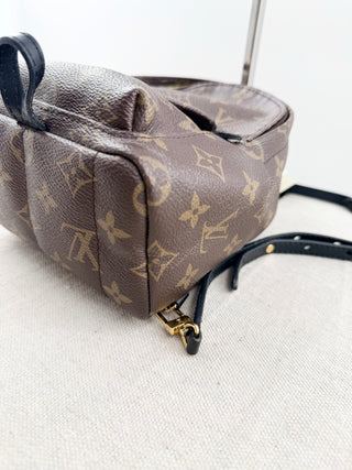 Louis Vuitton palm springs mini backpack in monogram