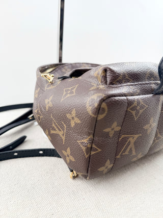 Louis Vuitton palm springs mini backpack in monogram