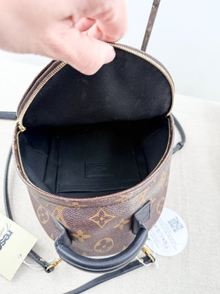 Louis Vuitton palm springs mini backpack in monogram