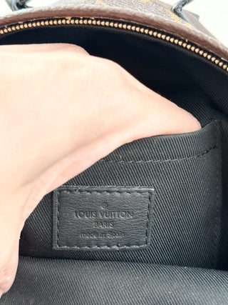 Louis Vuitton palm springs mini backpack in monogram