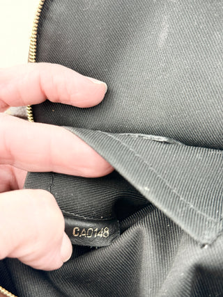 Louis Vuitton palm springs mini backpack in monogram