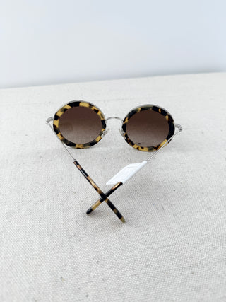 Miu Mu Light Havana / Brown Gradient Oversized Round Sunglasses
