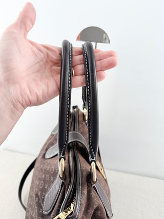 Louis Vuitton canvas monogram idylle elegie tote bag