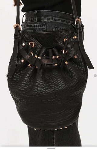 Alexander Wang Diego Pebbled Leather Rose Gold-Tone Hardware Bucket Bag Black