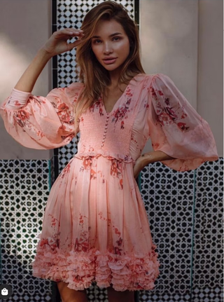 NWT Anne Louise Boutique Floral Long Sleeve Ruffle Trim Mini Dress Pink Womens 4