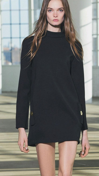 NWT Zara Long Sleeve Mock Neck Tunic Mini Dress with Gold Button Black Women's S