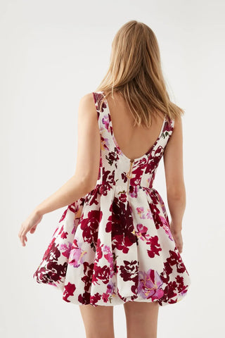 Aje Suzette Fit & Flare Mini Dress Roses of Provence Floral Womens AUS 12 / US 8